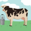 The Cow G