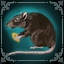 Oh, rat!