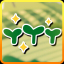 Novice Farmer