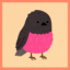 Pet: Pink robin