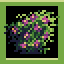 Invasive Species
