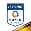 PGNiG Superliga