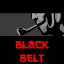 Black Belt - Hideyoshi