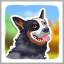 Chien sauveteur