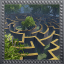 The Maze