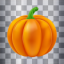 Each pumpkin contains about 500 seeds