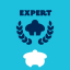 Expert à « Rafter Five »