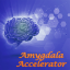 Amygdala Accelerator 