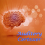 Auditory Cortexer 