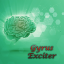 Gyrus Exciter 