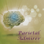 Parietal Admirer 