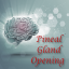 Pineal Gland Opening  