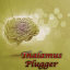 Thalamus Plugger 