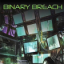 Binary Breach