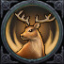 Interdiction de Chasse
