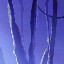 Forest Master