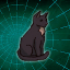 You Can't Pet The Cat