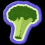 Naturalist Badge
