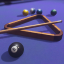 Pro du billard