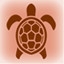 Tortue de mer