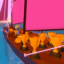 Tour De (Sail) Forth
