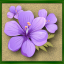 Floral Faith