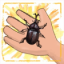 Beetle Savant