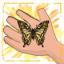 Butterfly Maestro