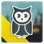 Night Owl