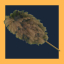 Vietnamese Feather Duster