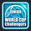 The World Cup challengers (junior)