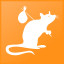 IOW : Rat des voies