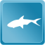 Deepwater Redfish