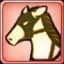 Racecourse Regular