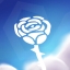 Rose Noire