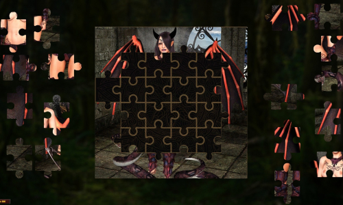 Adult Puzzles - Fantasy Ladies