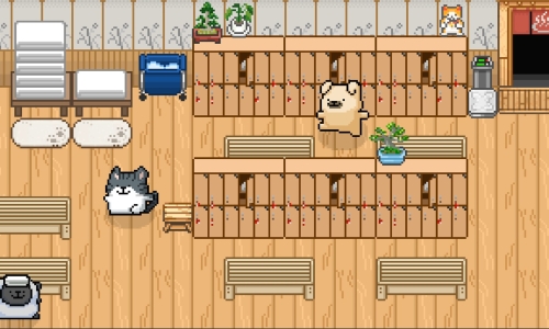 Animal Spa