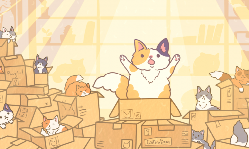 Cats in Boxes
