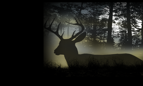 Deer Hunting Camp