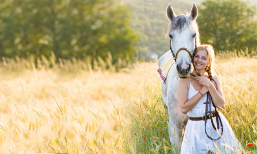 Ma Vie: avec les Chevaux 3