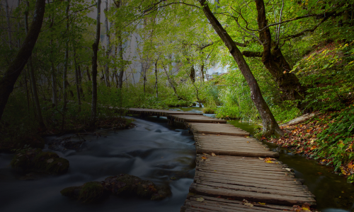 Nature Escapes 2 Collector's Edition
