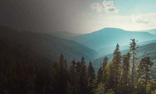 Nature Escapes 4 CE