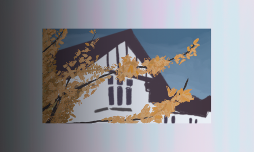 Paintings restoration