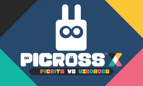 picross-x-picbits-vs-uzboross