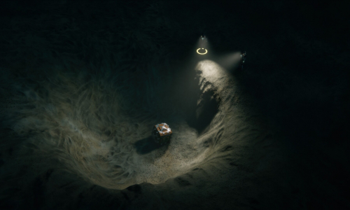 The Pioneers: Surviving Desolation