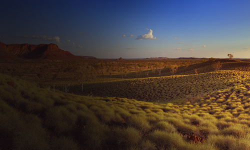 Puzzle Vacations: Australia and New Zealand