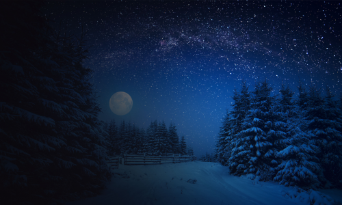 Puzzle Vacations: Christmas