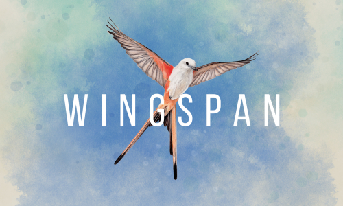 WINGSPAN (À TIRE D'AILES)