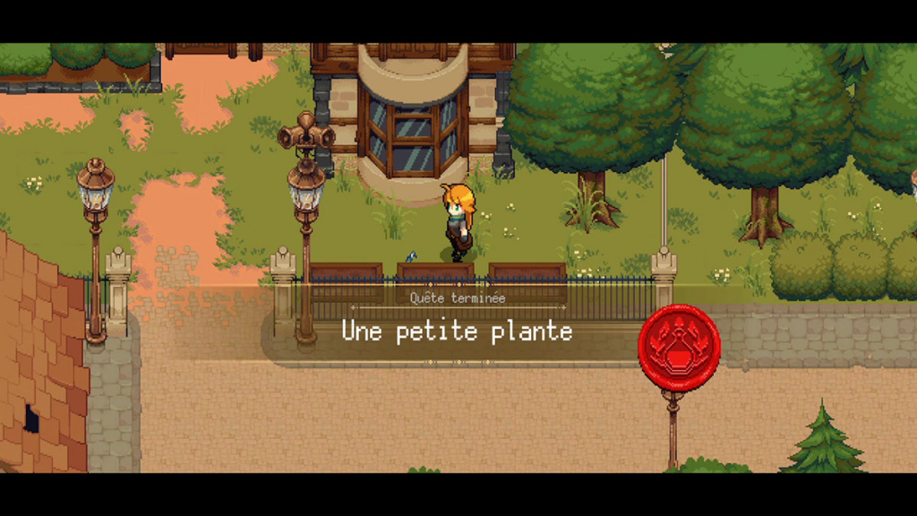 Une petite plante