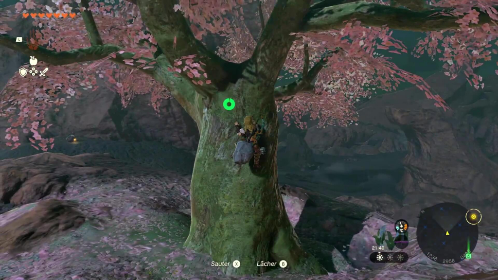 Zelda: Tears of the Kingdom - Satori and the Cherry Blossom Trees